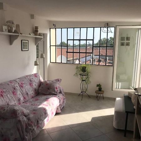 B&B Rooftop51 Римини Екстериор снимка