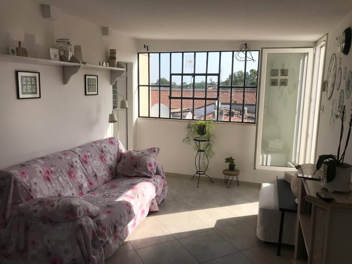 B&B Rooftop51 Римини Екстериор снимка